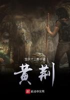 树桩盆景造型